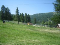 /album/risoul-1850/a-faire-developper-bellaria-risoul-2013-191-jpg/